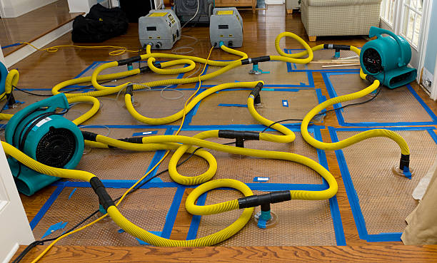 Professional Burst Pipe Water Damage technician working in White Oak, PA